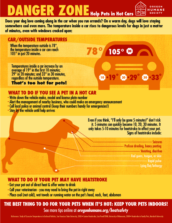 pets in hot cars