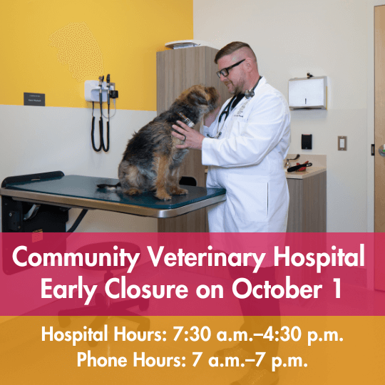 Community Veterinary Hospital Early Closure on October 1 | Hospital Hours: 7:30 a.m.–4:30 p.m. | Phone Hours: 7 a.m.–7 p.m.