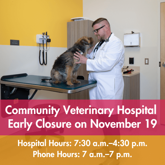 Community Veterinary Hospital Early Closure on November 19 | Hospital Hours: 7:30 a.m.–4:30 p.m. | Phone Hours: 7 a.m.–7 p.m.