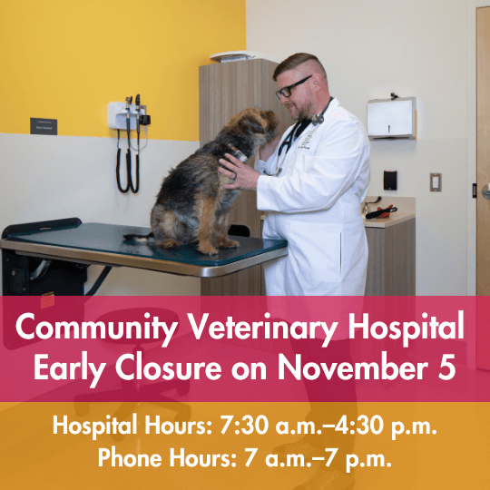 Community Veterinary Hospital Early Closure on November 5 | Hospital Hours: 7:30 a.m.–4:30 p.m. | Phone Hours: 7 a.m.–7 p.m.