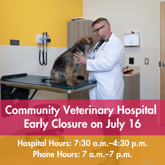 Community Veterinary Hospital Early Closure on July 16 | Hospital Hours: 7:30 a.m.–4:30 p.m. | Phone Hours: 7 a.m.–7 p.m.
