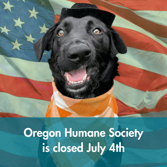 Oregon Humane Society is closed July 4th