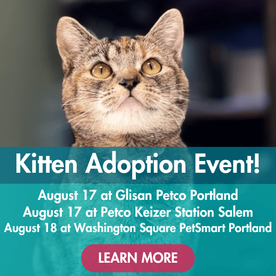 Kitten Adoption Event! | August 17 at Glisan Petco Portland | August 17 at Petco Keizer Station Salem | August 18 at Washington Square PetSmart Portland | Learn More