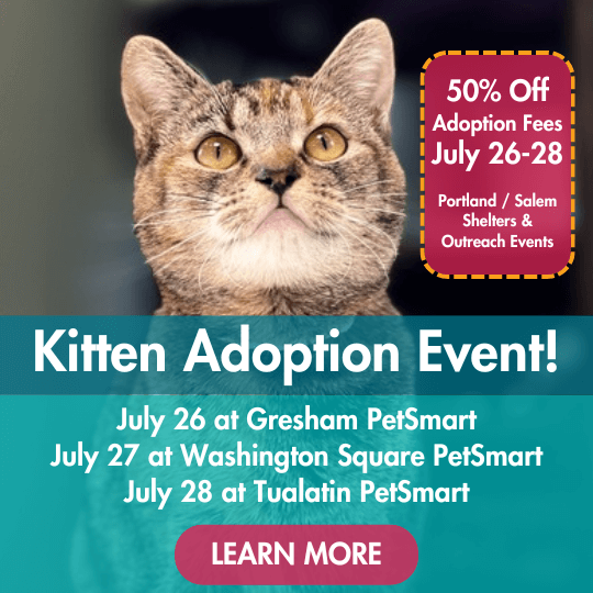Kitten Adoption Event! | 50% Off Adoption Fees July 26-28 Portland / Salem Shelters and Outreach Events | July 26 at Gresham PetSmart | July 27 at Washington Square PetSmart | July 28 at Tualatin PetSmart | Learn More