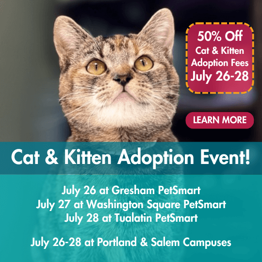 Cat & Kitten Adoption Event! | 50% Off Cat and Kitten Adoption Fees July 26-28 | July 26 at Gresham PetSmart | July 27 at Washington Square PetSmart | July 28 at Tualatin PetSmart | July 26-28 at Portland & Salem Campuses | Learn More