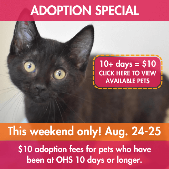 ADOPTION SPECIAL | 10+ days = $10 CLICK HERE TO VIEW AVAILABLE PETS | This weekend only! Aug. 24-25 | $10 adoption fees for pets who have been at OHS 10 days or longer.