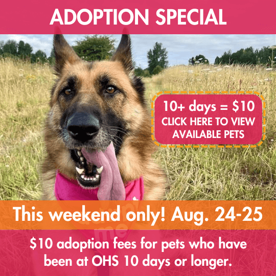 ADOPTION SPECIAL | 10+ days = $10 CLICK HERE TO VIEW AVAILABLE PETS | This weekend only! Aug. 24-25 | $10 adoption fees for pets who have been at OHS 10 days or longer.