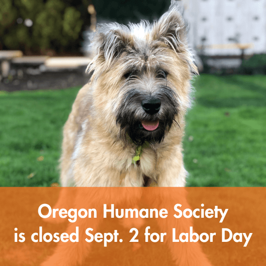 Oregon Humane Society is closed Sept. 2 for Labor Day