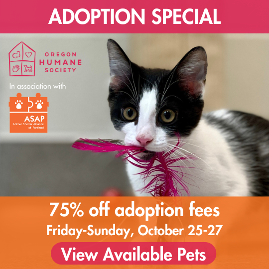 ADOPTION SPECIAL | 75% off adoption fees | Friday - Sunday, October 25-27 | View Available Pets