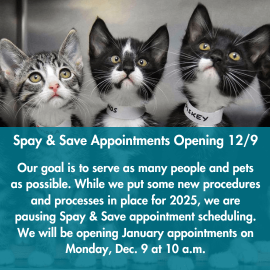 Spay & Save Appointments Opening 12/9 | Our goal is to serve as many people and pets as possible. While we put some new procedures and processes in place for 2025, we are pausing Spay & Save appointment scheduling. We will be opening January appointments on Monday, Dec. 9 at 10 a.m.