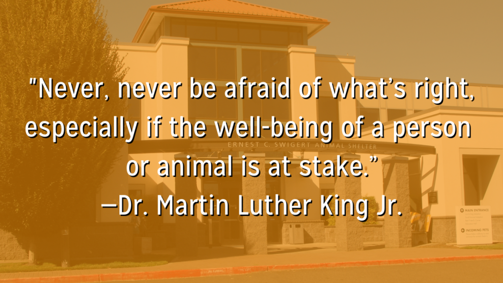 Honoring Dr. Martin Luther King Jr. Oregon Humane Society